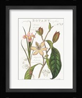 Vintage Floral III Neutral Framed Print