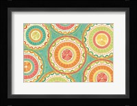 Citrus Splash XII Framed Print