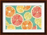 Citrus Splash XI Fine Art Print