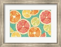 Citrus Splash XI Fine Art Print