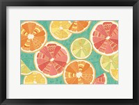 Citrus Splash XI Framed Print