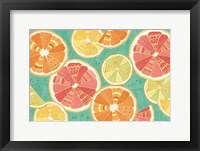 Citrus Splash XI Fine Art Print