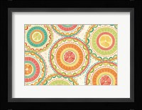 Citrus Splash XIII Framed Print