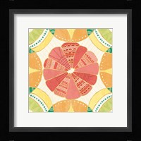 Citrus Splash VII Framed Print
