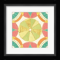 Citrus Splash VIII Framed Print