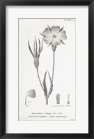 Conversations on Botany III Fine Art Print