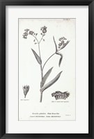 Conversations on Botany I Framed Print