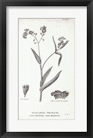 Conversations on Botany I Fine Art Print