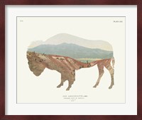 American Southwest Buffalo Fine Art Print