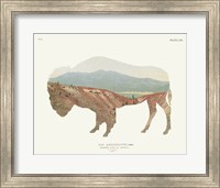 American Southwest Buffalo Fine Art Print