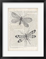 Vintage Dragonflies on Newsprint Fine Art Print