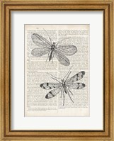 Vintage Dragonflies on Newsprint Fine Art Print