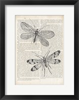 Vintage Dragonflies on Newsprint Fine Art Print