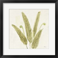Forest Ferns II v2 Fine Art Print