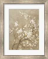 White Cherry Blossom I Neutral Crop Bird Fine Art Print