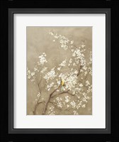 White Cherry Blossom I Neutral Crop Bird Framed Print