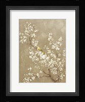 White Cherry Blossom II Neutral Crop Bird Framed Print