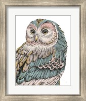Beautiful Owls I Pastel Fine Art Print
