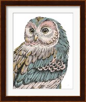 Beautiful Owls I Pastel Fine Art Print