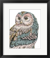 Beautiful Owls I Pastel Framed Print