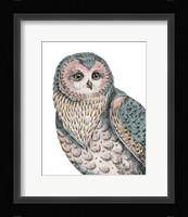 Beautiful Owls IV Pastel Framed Print
