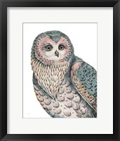 Beautiful Owls IV Pastel Framed Print