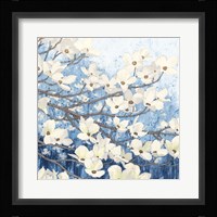 Dogwood Blossoms II Indigo Framed Print