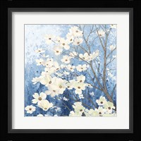 Dogwood Blossoms I Indigo Framed Print