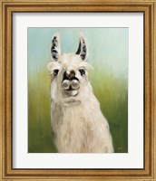 Whos Your Llama I Fine Art Print