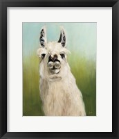 Whos Your Llama I Fine Art Print