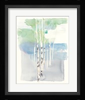 Aspens I Framed Print