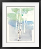 Aspens I Fine Art Print