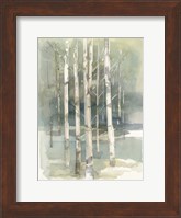 Birch Grove I Fine Art Print