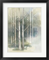 Birch Grove II Framed Print