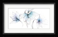 Blue Graphite Floral Trio Fine Art Print
