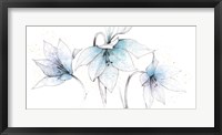 Blue Graphite Floral Trio Fine Art Print