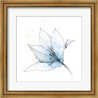 Blue Graphite Flower IX Fine Art Print