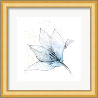 Blue Graphite Flower IX Fine Art Print