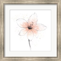 Coral Graphite Flower II Fine Art Print