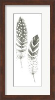 Feather Sketches VIII Fine Art Print