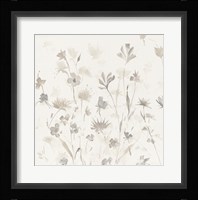 Garden Shadows II Framed Print