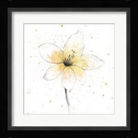 Gilded Graphite Floral II Framed Print