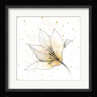 Gilded Graphite Floral IX Framed Print