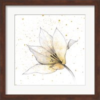 Gilded Graphite Floral IX Fine Art Print