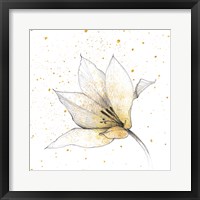 Gilded Graphite Floral IX Framed Print