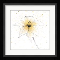 Gilded Graphite Floral V Framed Print