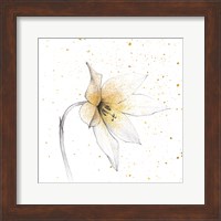 Gilded Graphite Floral VIII Fine Art Print