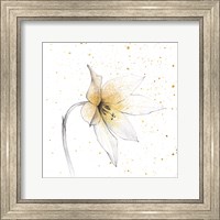 Gilded Graphite Floral VIII Fine Art Print