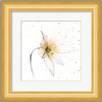 Gilded Graphite Floral VIII Fine Art Print