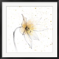 Gilded Graphite Floral VIII Fine Art Print